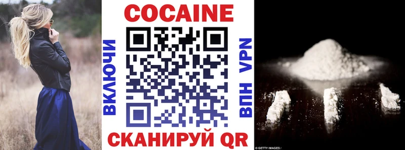 Cocaine Эквадор  Купить закладки  Щигры 