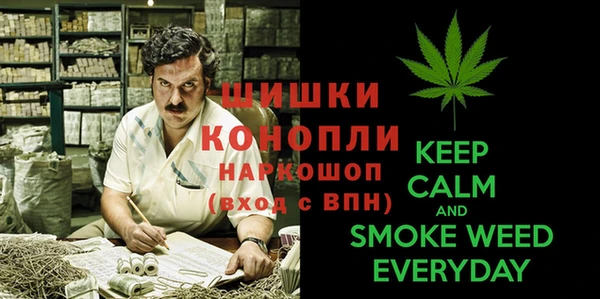 прущие крисы Карпинск