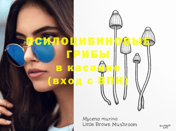 ешки Касимов